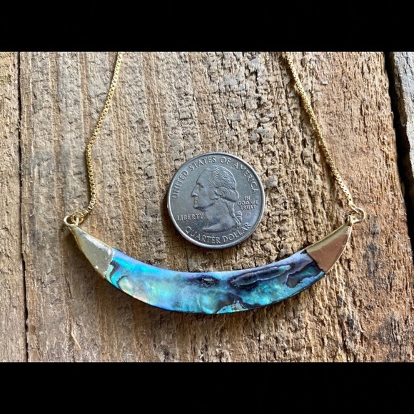 Abalone Shell Crescent Necklace - Picture 7 of 8